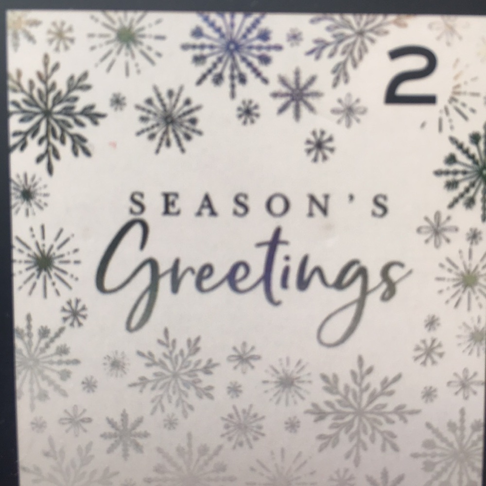 Christmas Card Set - 2 Designs! silver & White 20 Count